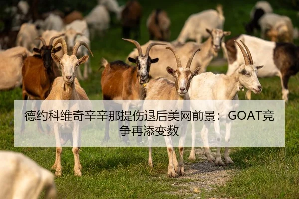 德约科维奇辛辛那提伤退后美网前景：GOAT竞争再添变数